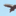 Derision667