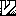 vagus